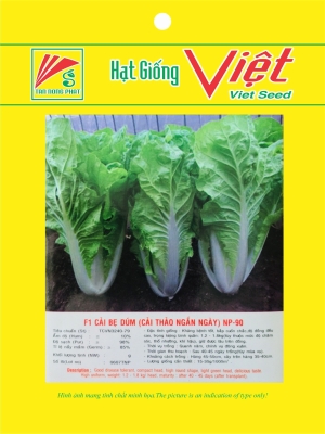 HẠT GIỐNG BẮP CẢI, CẢI BÔNG, CẢI THẢO - CABBAGE, BROCCOLI SEED