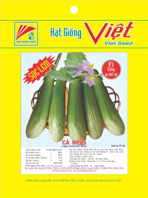 HẠT GIỐNG CÀ - EGGPLANT SEEDS