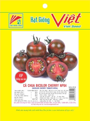 HẠT GIỐNG CÀ CHUA -  TOMATO SEEDS
