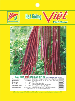 HẠT GIỐNG ĐẬU - BEAN SEEDS