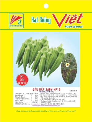 HẠT GIỐNG ĐẬU BẮP - OKRA SEEDS