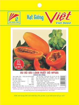 HẠT GIỐNG ĐU ĐỦ - PAPAYA SEED