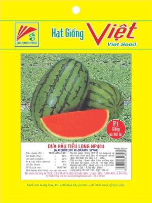HẠT GIỐNG DƯA HẤU, DƯA LÊ - WATER MELON & MELON SEEDS