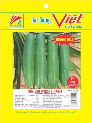 HẠT GIỐNG DƯA LEO - CUCUMBER SEEDS