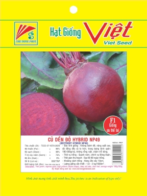 HẠT GIỐNG RAU MẦM & CÁC LOẠI KHÁC - SPROUTING & OTHER VEGETABLES