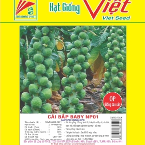 BẮP CẢI BABY CABBAGE BABY