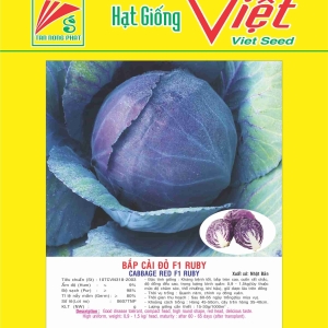 BẮP CẢI ĐỎ F1 RUBY F1 CABBAGE RUBY