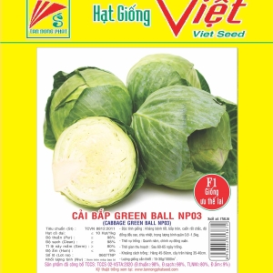 BẮP CẢI F1 GREEN BALL CABBAGE F1 GREEN BALL