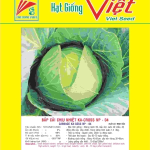 BẮP CẢI F1 KA - CROSS F1 CABBAGE KA-CROSS