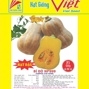 BÍ ĐỎ ĐẶC RUỘT F1 NP-999 F1 PUMPKIN NP-999 BÍ ĐỎ ĐẶC RUỘT F1 NP-999 F1 PUMPKIN NP-999
