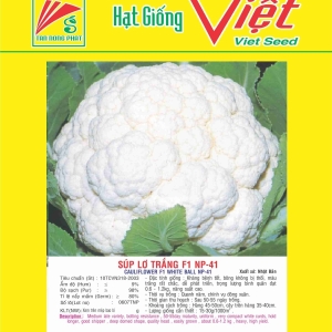 BÔNG CẢI TRẮNG F1 WHITE BALL NP-41 F1 CAULIFLOWER NP-41