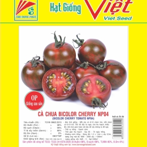 CẢ CHUA BICOLOR CHERRY NP04 BICOLOR CHERRY TOMATO CẢ CHUA BICOLOR CHERRY NP04 BICOLOR CHERRY TOMATO