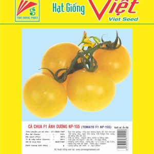 CÀ CHUA F1 ÁNH DƯƠNG NP - 155 F1 TOMATO NP-155 CÀ CHUA F1 ÁNH DƯƠNG NP - 155 F1 TOMATO NP-155