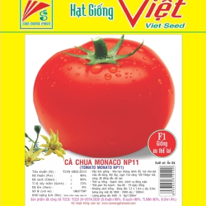 CÀ CHUA F1 MONACO NP - 11 F1 TOMATO NP-11 CÀ CHUA F1 MONACO NP - 11 F1 TOMATO NP-11