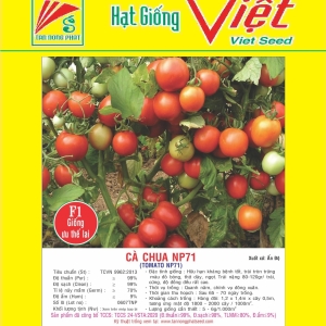 CÀ CHUA F1 NP - 71 F1 TOMATO NP-71 CÀ CHUA F1 NP - 71 F1 TOMATO NP-71