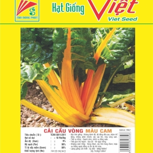 CẢI CẦU VÒNG MÀU CAM SWISS CHARD ORANGE CẢI CẦU VÒNG MÀU CAM SWISS CHARD ORANGE