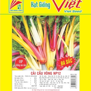 CẢI CẦU VÒNG MÀU ĐA SẮC SWISS CHARD MIX CẢI CẦU VÒNG MÀU ĐA SẮC SWISS CHARD MIX