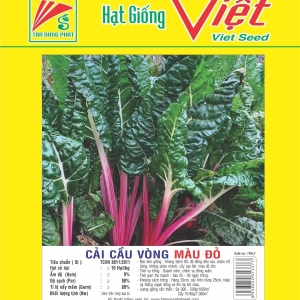 CẢI CẦU VÒNG MÀU ĐỎ SWISS CHARD RED CẢI CẦU VÒNG MÀU ĐỎ SWISS CHARD RED