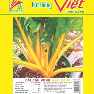CẢI CẦU VÒNG MÀU VÀNG SWISS CHARD YELLOW CẢI CẦU VÒNG MÀU VÀNG SWISS CHARD YELLOW