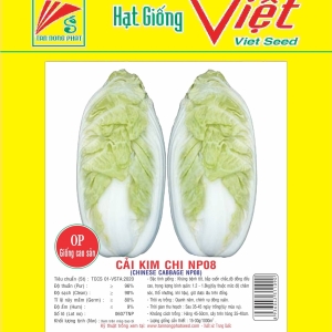 CẢI KIM CHI (CẢI THẢO) CHINESE CABBAGE