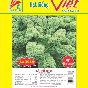 CẢI RỔ ITALIAN NP-84 CHINESE ITALIAN KALE NP-84 CẢI RỔ ITALIAN NP-84 CHINESE ITALIAN KALE NP-84