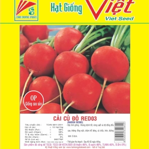 CỦ CẢI ĐỎ F1 NP - 01 F1 RED RADISH CỦ CẢI ĐỎ F1 NP - 01 F1 RED RADISH