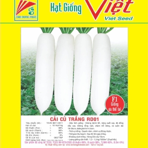 CỦ CẢI TRẮNG F1 NP - 01 F1 RADISH NP-01 CỦ CẢI TRẮNG F1 NP - 01 F1 RADISH NP-01