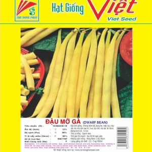 ĐẬU MỠ GÀ DWARF BEAN ĐẬU MỠ GÀ DWARF BEAN