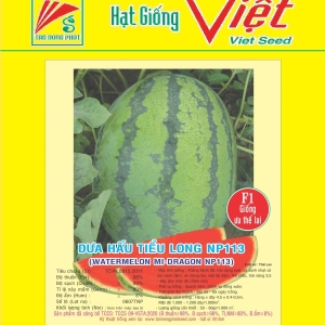 DƯA HẤU F1 NP-113 F1 WATER MELON NP-113 DƯA HẤU F1 NP-113 F1 WATER MELON NP-113
