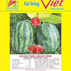 DƯA HẤU F1 NP-586 F1 WATER MELON NP-586 DƯA HẤU F1 NP-586 F1 WATER MELON NP-586