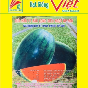 DƯA HẤU F1 NP - 900 F1 WATER MELON 900 DƯA HẤU F1 NP - 900 F1 WATER MELON 900