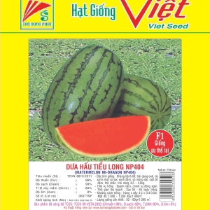 DƯA HẤU F1 TIỂU LONG 404 F1 WATER MELON 404 DƯA HẤU F1 TIỂU LONG 404 F1 WATER MELON 404