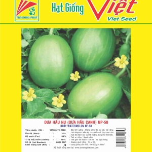 DƯA HẤU NỤ NP 50 BABY WATERMELON NP--50 DƯA HẤU NỤ NP 50 BABY WATERMELON NP--50