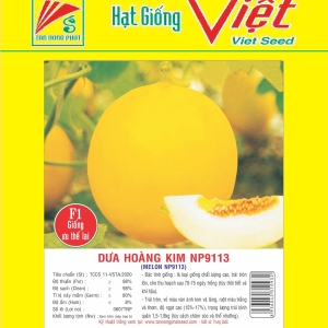 DƯA HOÀNG KIM F1 NP-9113 F1 MELON NP-9113 DƯA HOÀNG KIM F1 NP-9113 F1 MELON NP-9113