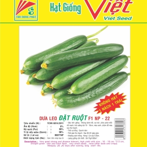 DƯA LEO ĐẶT RUỘT F1 NP-22 F1 CUCUMBER NP-22 DƯA LEO ĐẶT RUỘT F1 NP-22 F1 CUCUMBER NP-22