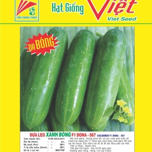 DƯA LEO XANH BÓNG F1 MEKONG - 567 F1 CUCUMBER 567 DƯA LEO XANH BÓNG F1 MEKONG - 567 F1 CUCUMBER 567