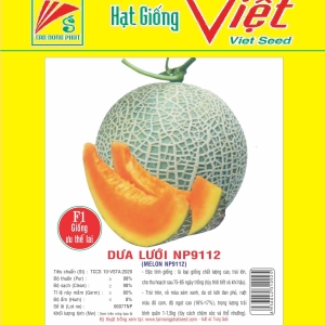 DƯA LƯỚI F1 NP-9112 F1 MELON NP-9112 DƯA LƯỚI F1 NP-9112 F1 MELON NP-9112