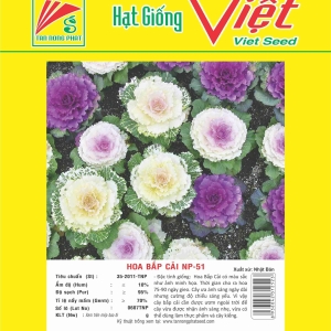 HOA BẮP CẢI NP-51 FLOWER NP-51