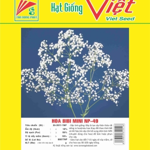 HOA BIBI MINI NP 49 BIBI MINI FLOWER NP-49