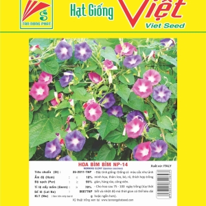 HOA BÌM BÌM NP-14 MORNING GLORY NP-14