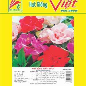 HOA BÓNG NƯỚC NP-01 BALSAM NP-01