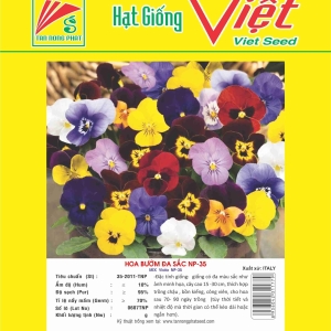 HOA BƯỚM ĐA SẮC NP-35 MIX VIOLA NP-35