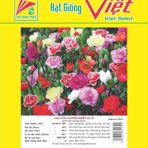 HOA CẨM CHƯỚNG HAPPY NP-29 HAPPY MIX DIANTHUS FLOWER NP-29
