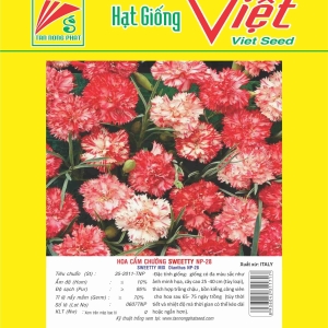 HOA CẨM CHƯỚNG SWEETTY NP-28 SWEETTY MIX DIANTHUS FLOWER NP-28