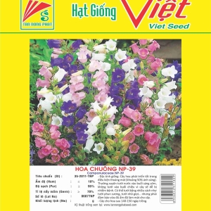 HOA CHUÔNG NP-39 CAMPANULACEAE NP-39