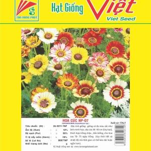 HOA CÚC NP-07 CHRYSANTHEMUM FLOWER NP-07
