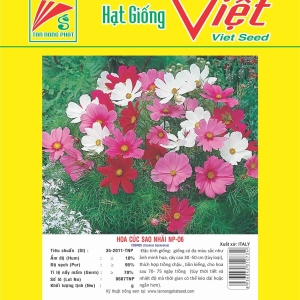HOA CÚC SAO NHÁI NP-06 COSMOS FLOWER NP-06
