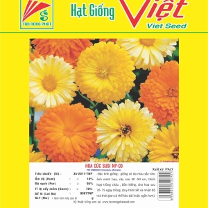 HOA CÚC SUSI NP-03 POT MARIGOLD NP-03