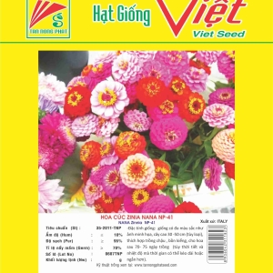 HOA CÚC ZINIA NANA NP-41 NANA ZINIA NP-41