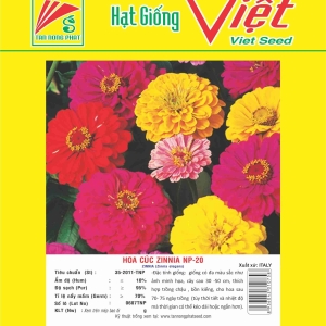 HOA CÚC ZINNIA NP-20 ZINNIA NP-20